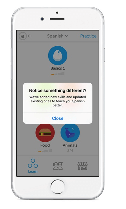 duolingo_example