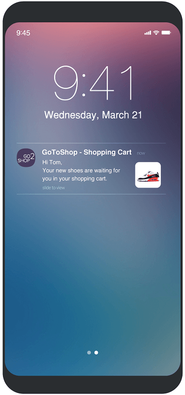 rich-push-abandoned-cart-message